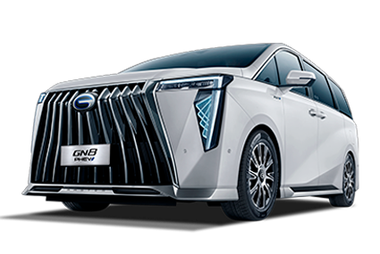 GN8 - GAC Dorada Puebla in Puebla Puebla