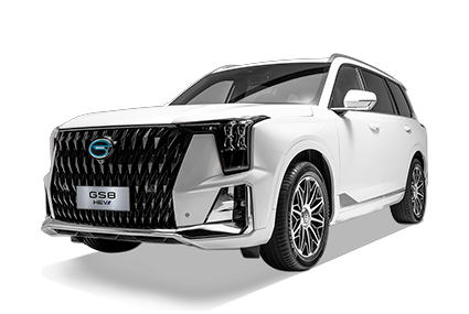 GS8 HEV - GAC Dorada Puebla in Puebla Puebla