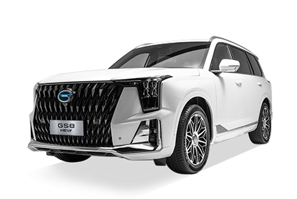  GS8 HEV - GAC Dorada Puebla in Puebla Puebla