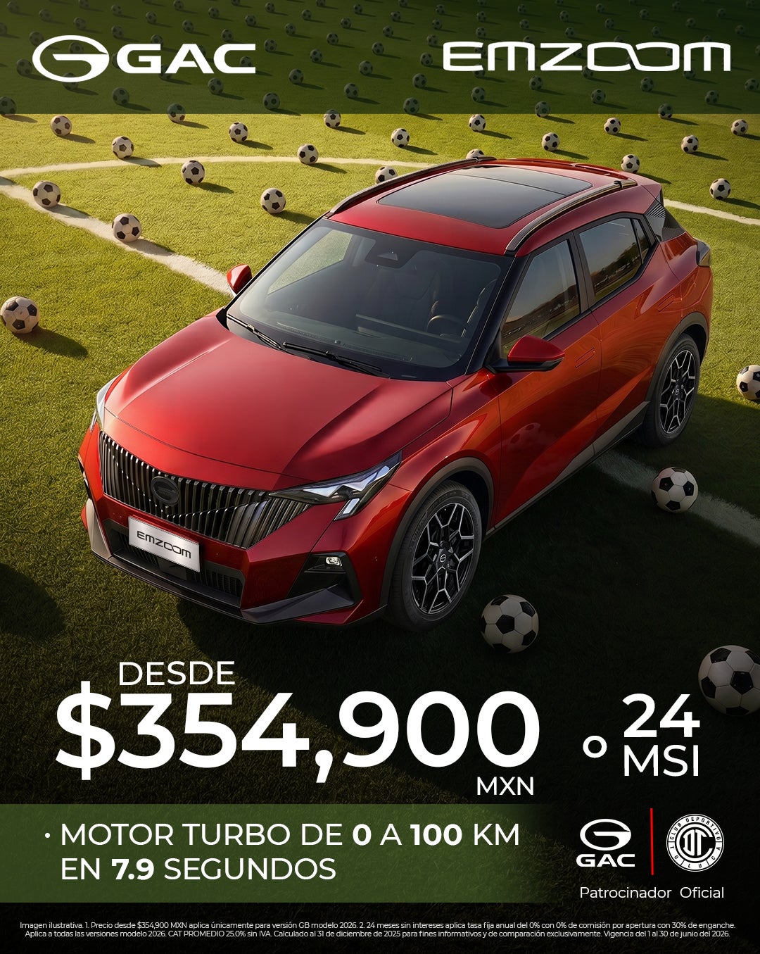 EMZOOM